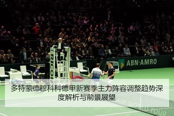 duo-te-meng-de-mu-ke-ke-de-jia-xin-sai-ji-zhu-li-zhen-rong-tiao-zheng-qu-shi-shen-du-jie-xi-yu-qian-jing-zhan-wang-2-598.jpg